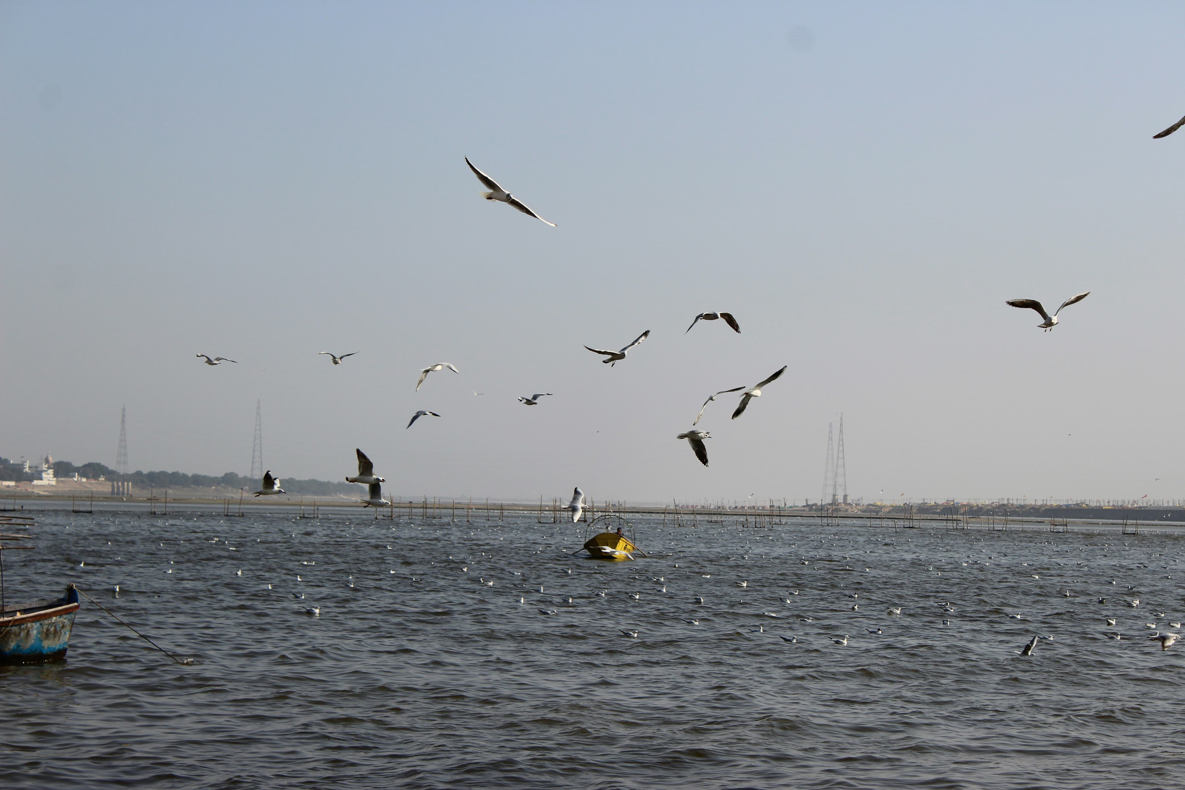 ESSA Workshop — Environmental and Social Assessment