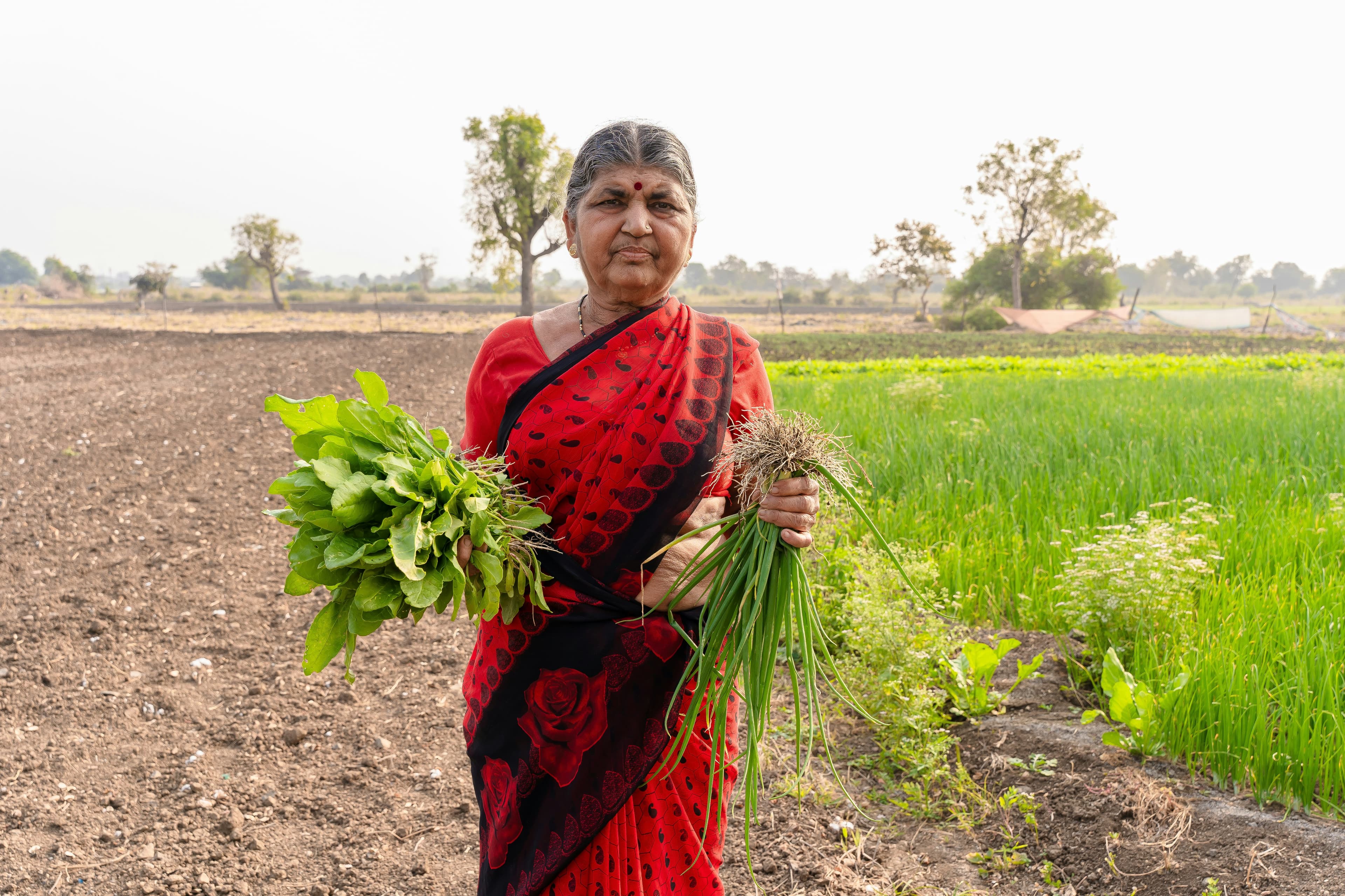 Rural Indian woman farmer